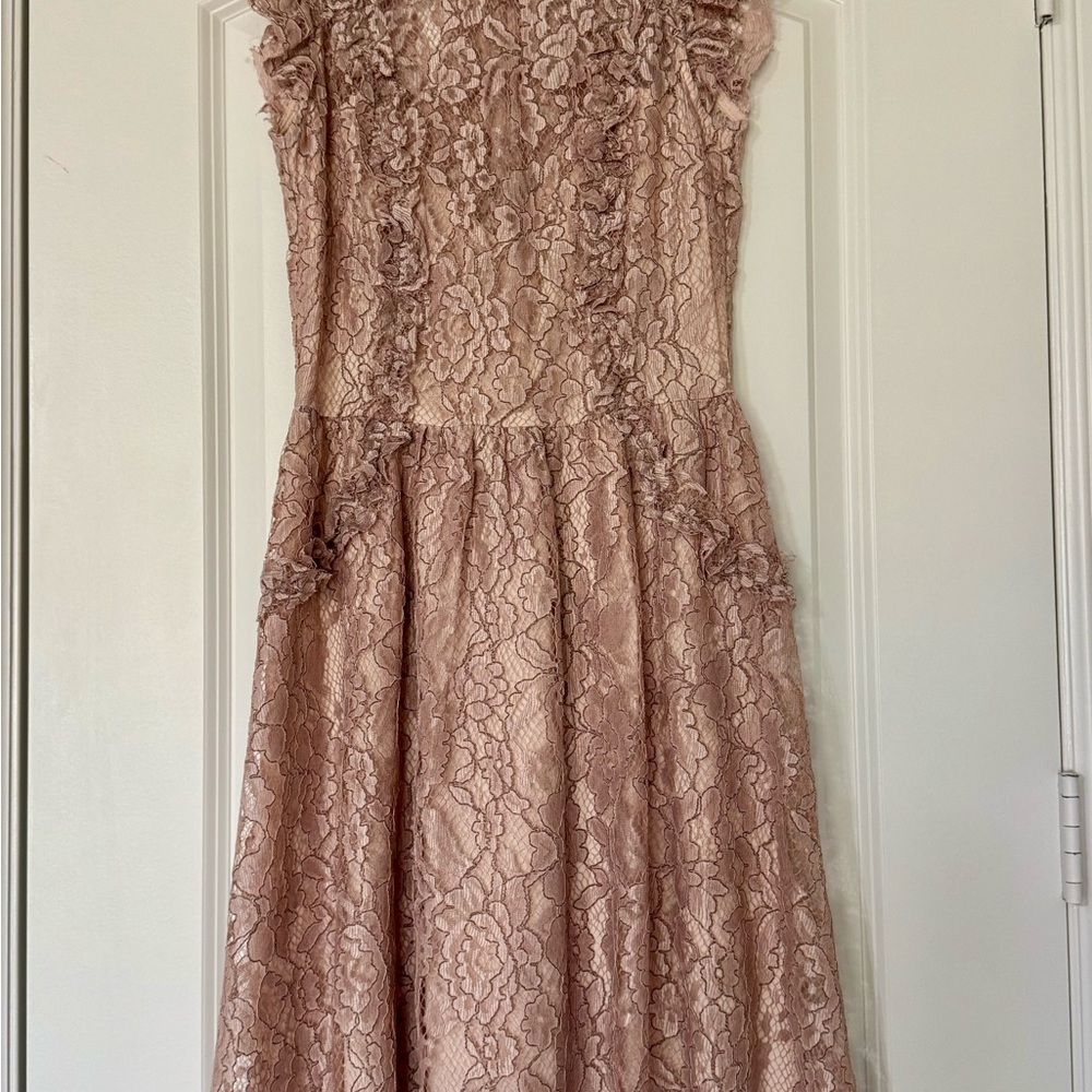 Elegant Lace Dress in Blush Pink
